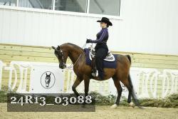 24R13_03088 thumbnail