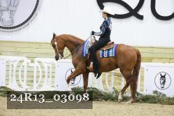 24R13_03098 thumbnail