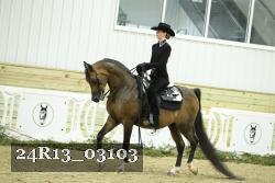 24R13_03103 thumbnail