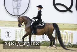 24R13_03108 thumbnail
