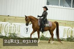 24R13_03110 thumbnail