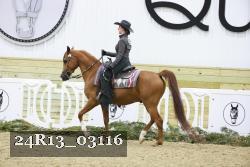 24R13_03116 thumbnail
