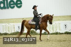 24R13_03127 thumbnail