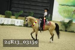 24R13_03159 thumbnail