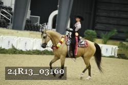 24R13_03160 thumbnail