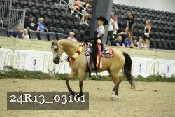 24R13_03161 thumbnail