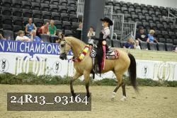24R13_03164 thumbnail