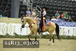 24R13_03166 thumbnail