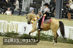 24R13_03171 thumbnail