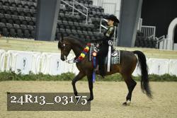 24R13_03175 thumbnail