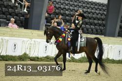 24R13_03176 thumbnail