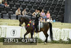 24R13_03184 thumbnail