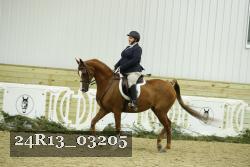 24R13_03205 thumbnail