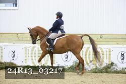 24R13_03217 thumbnail