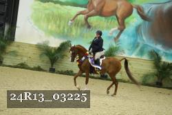 24R13_03225 thumbnail