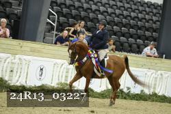 24R13_03227 thumbnail