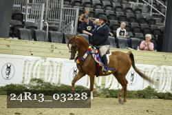 24R13_03228 thumbnail