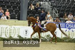 24R13_03230 thumbnail