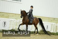 24R13_03252 thumbnail