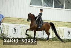 24R13_03253 thumbnail