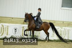 24R13_03254 thumbnail