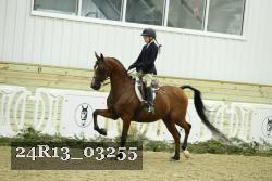 24R13_03255 thumbnail