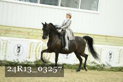 24R13_03257 thumbnail