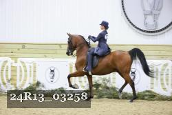 24R13_03258 thumbnail