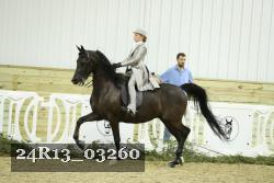 24R13_03260 thumbnail