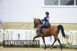 24R13_03261 thumbnail