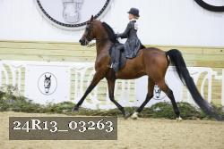 24R13_03263 thumbnail