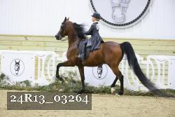 24R13_03264 thumbnail