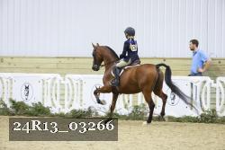24R13_03266 thumbnail