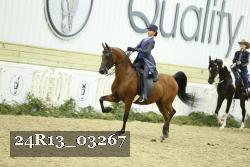 24R13_03267 thumbnail