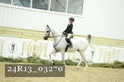 24R13_03270 thumbnail