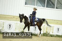 24R13_03275 thumbnail