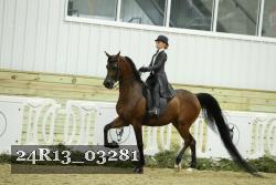24R13_03281 thumbnail