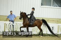 24R13_03282 thumbnail