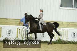 24R13_03286 thumbnail