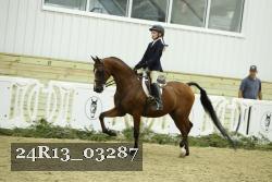 24R13_03287 thumbnail