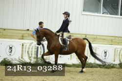 24R13_03288 thumbnail