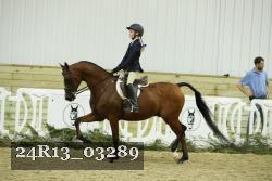 24R13_03289 thumbnail