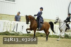 24R13_03290 thumbnail