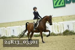 24R13_03301 thumbnail