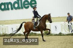 24R13_03302 thumbnail