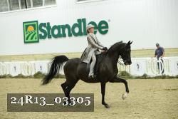 24R13_03305 thumbnail