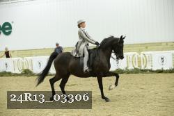 24R13_03306 thumbnail
