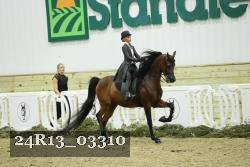 24R13_03310 thumbnail