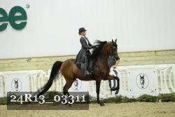 24R13_03311 thumbnail