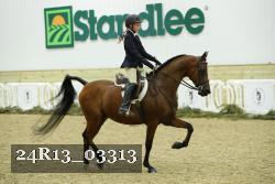24R13_03313 thumbnail